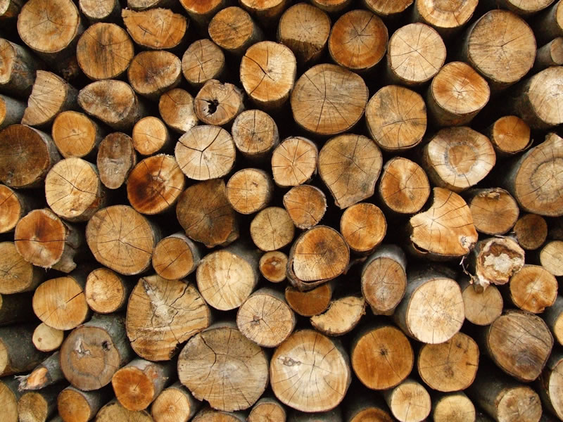 firewood logs